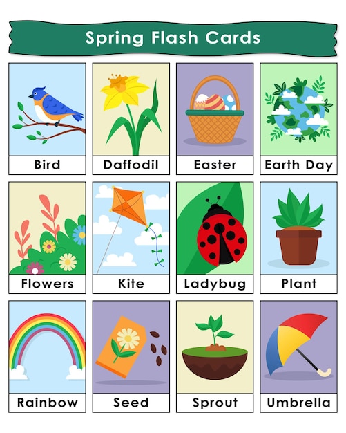 Vector set of spring flashcards