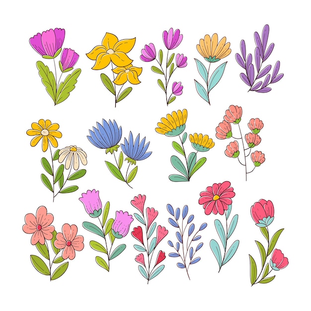 Set of spring flower illustration collection