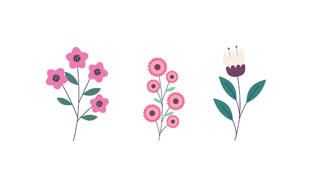 Vector set of spring flowers collection