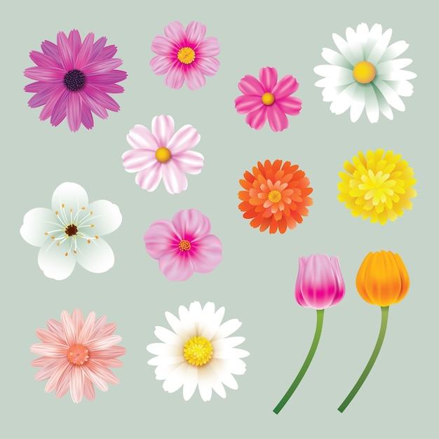 Vector set of spring flowers colorful isolated background.