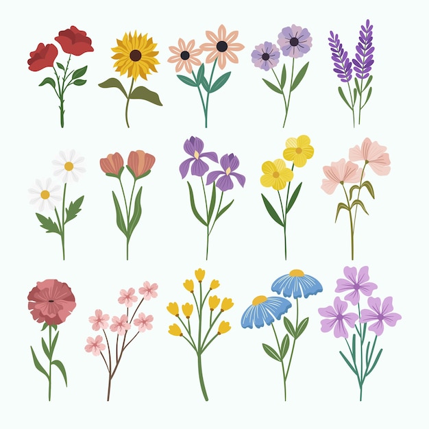 Set of spring flowers vector collection