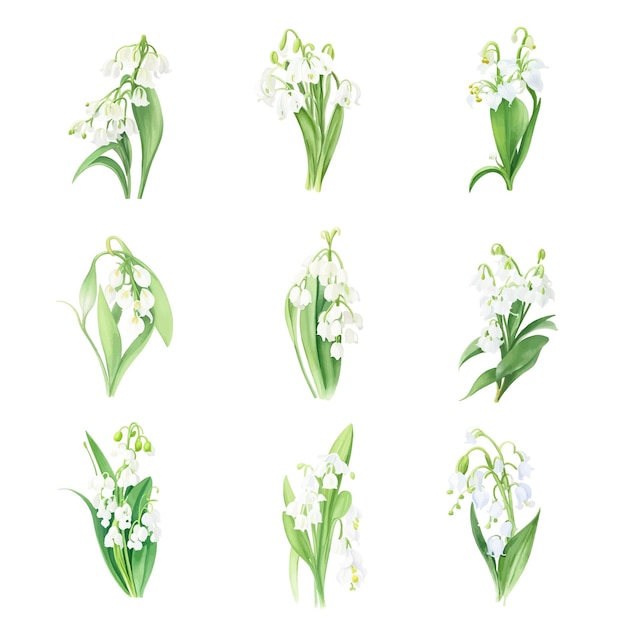 Vector set of spring flowers on white background lily of the valley vector illustration