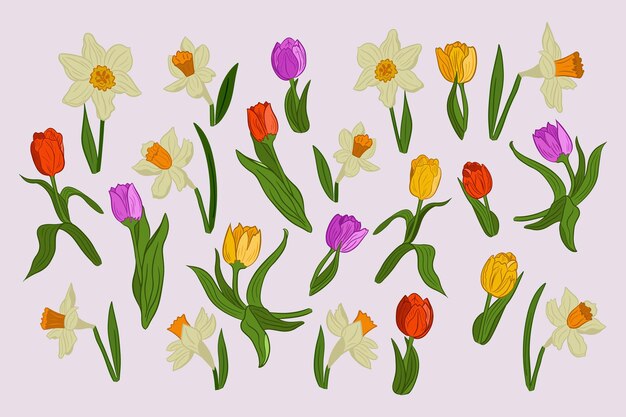 Set of spring hand drawn flat vector flowers