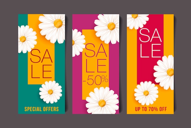 Set di volantini di vendita primaverili o poster di banner con illustrazione di fiori di camomilla fiore bianco