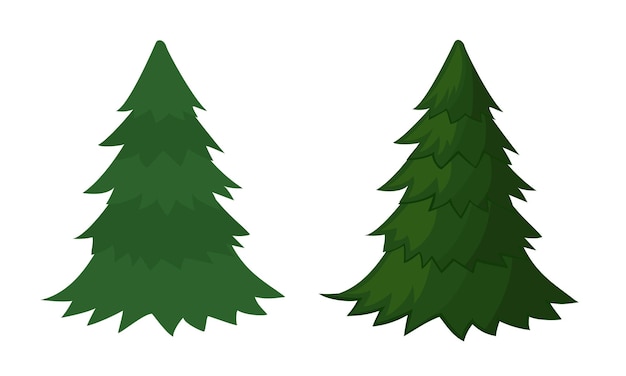 Vector set of spruce. christmas tree without decoration. vector illustration.