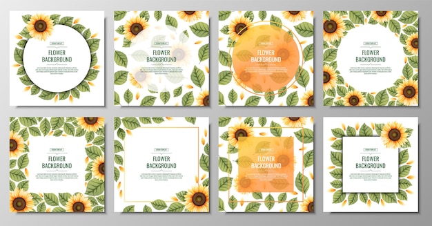 Set of square backgrounds with sunflowers Floral frame with yellow flowers and green leaves Banner