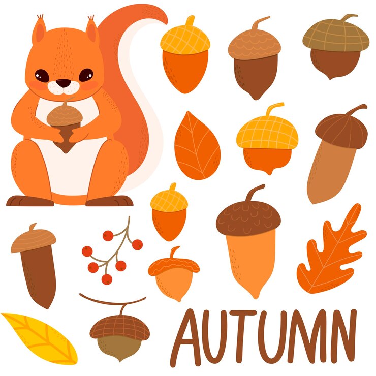 Set of squirrels and acorns Autumn theme Autumn forest For your design