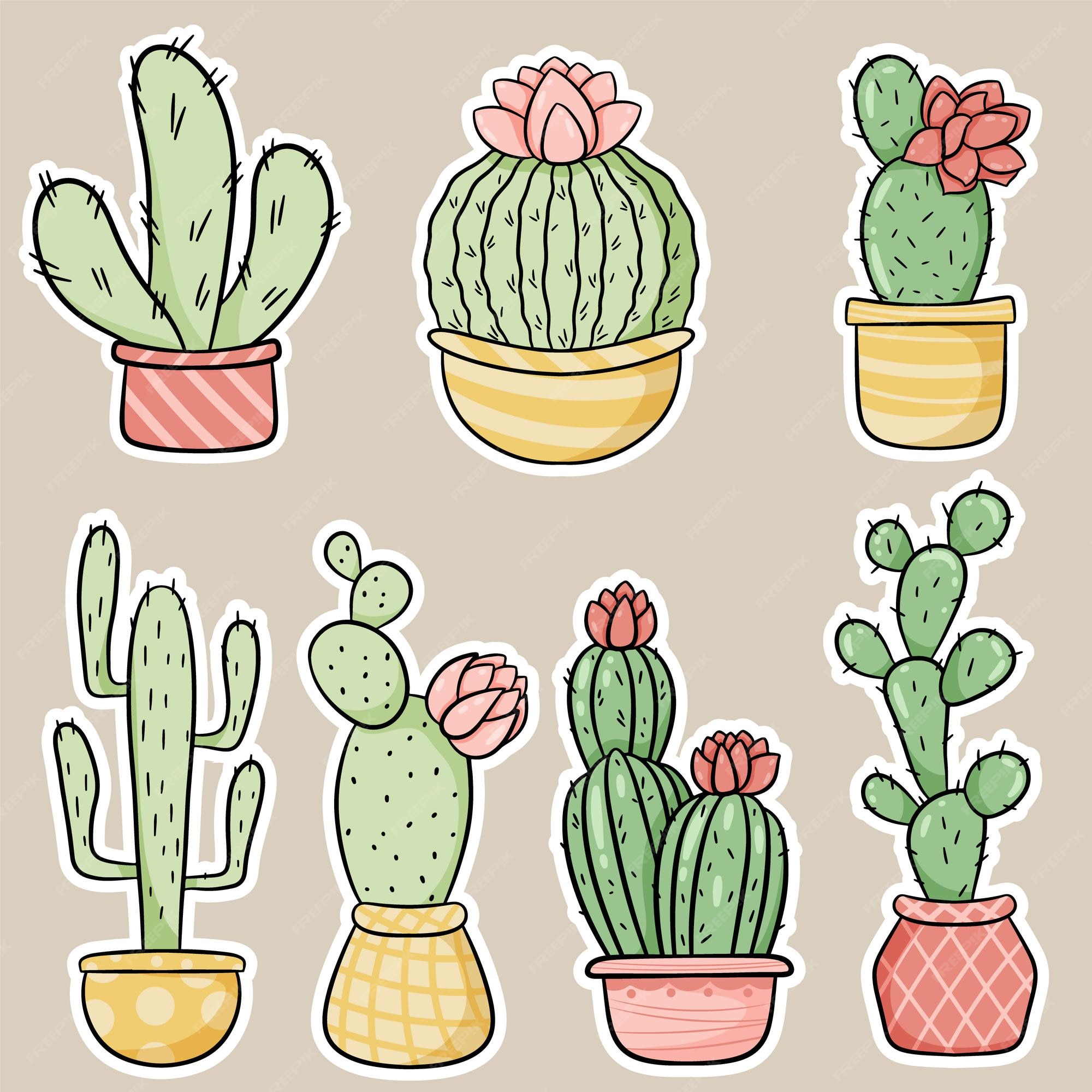 Plant Drawing Cactus Cartoon Cactaceae Hd Image Free - Cacto