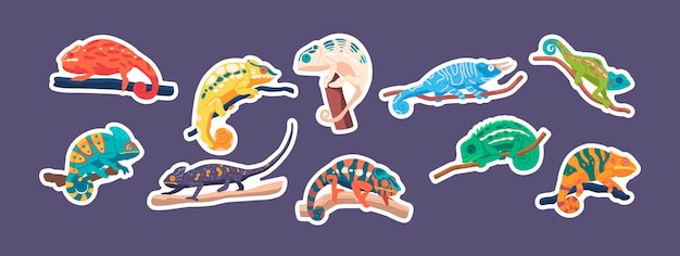 Set Of Stickers Chameleon Reptiles On Branches Lizards With Long Sticky Tongues And Distinctive Eyes Patches