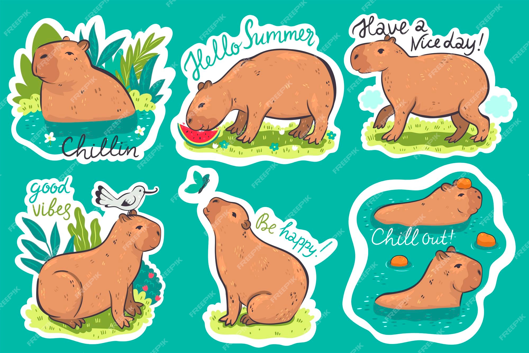 Doodle With Me - Capybara (Capivara) 