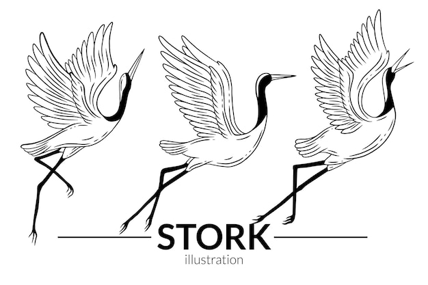 Set Stork Bird Flying Tropical cartoon Wild birds cranes Hand Drawn