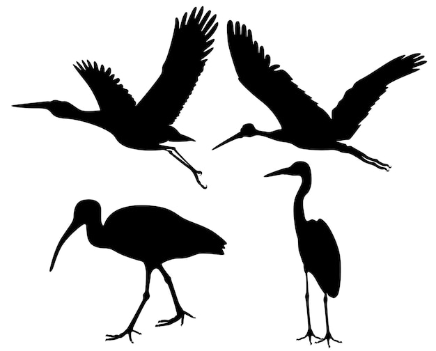 Set storks birds black silhouette animal icon vector illustration