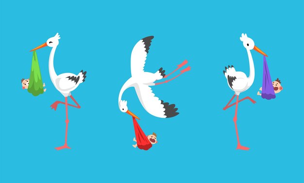 set of storks carrying newborn babies vector illustration