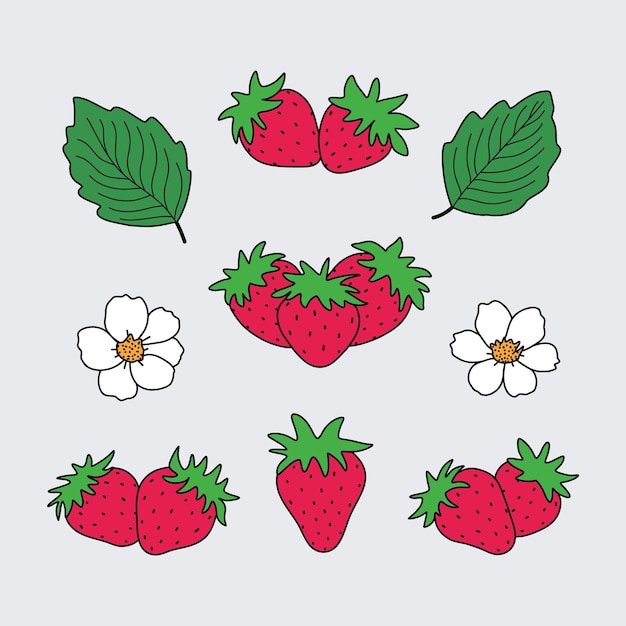 A set of strawberries with leaves and flowers