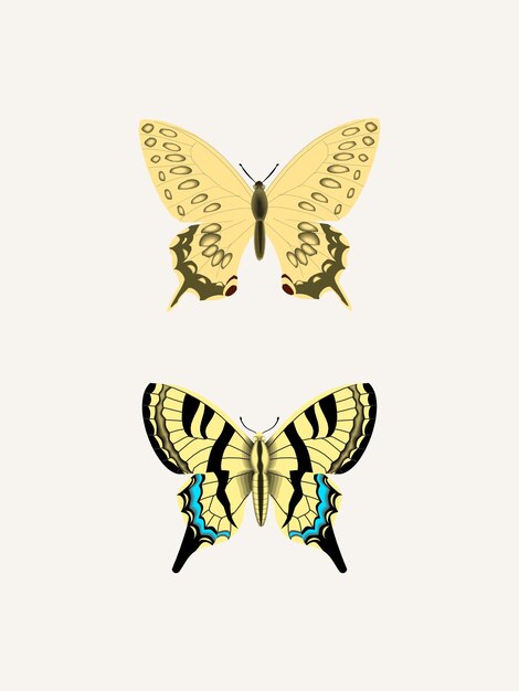 Set of Stylist Butterfly vector illustrations