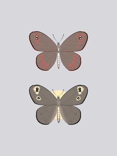 Set of Stylist Butterfly vector illustrations