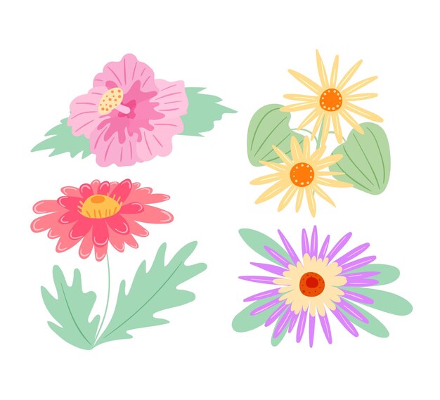 Vector set of summer flowering plants flowers florists flower garden growing plant naturalist nature botany