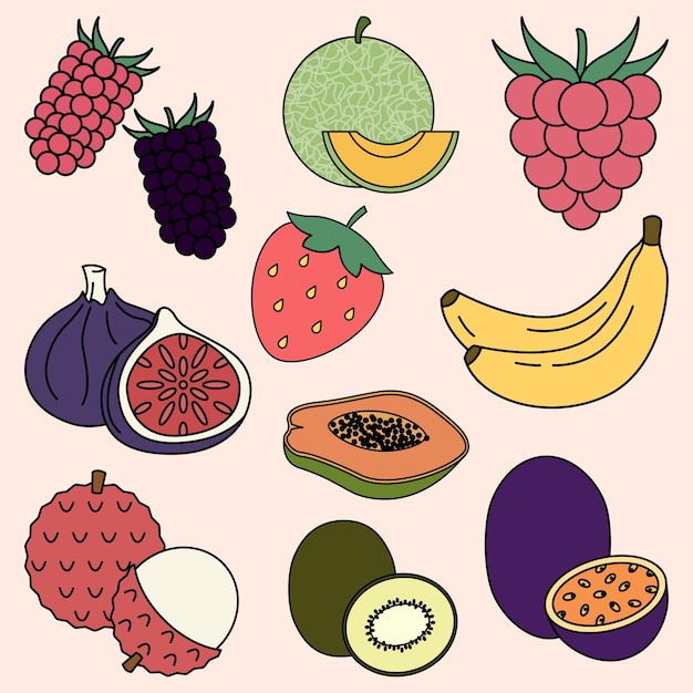 Vector set of summer fruit simple flat line illustration