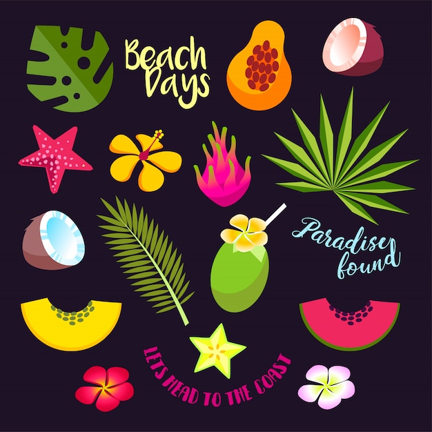 set of summer tropical fruits, cocktails and leaves