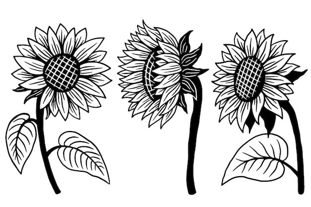 Set of Sun Flower isolated Decorative Beautiful Hand Drawn illustration