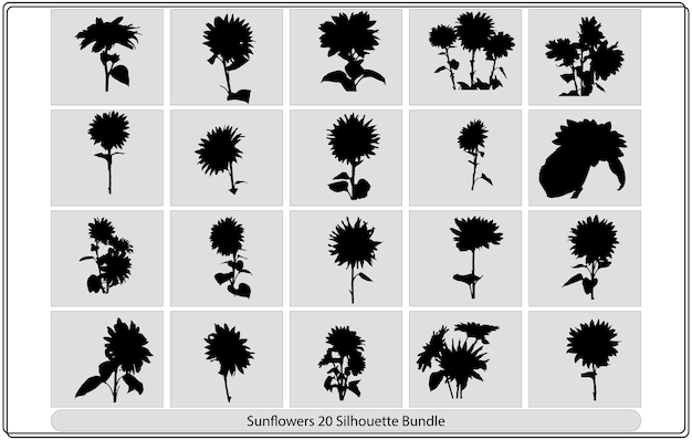 ひまわりの花のセット。咲く植物を様式化したシルエットのコレクション。秋の花。ベクター