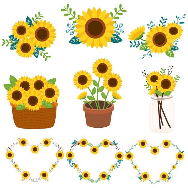 Vector set sunflower and leaf plants flowers floral  helianthus  garden botanical