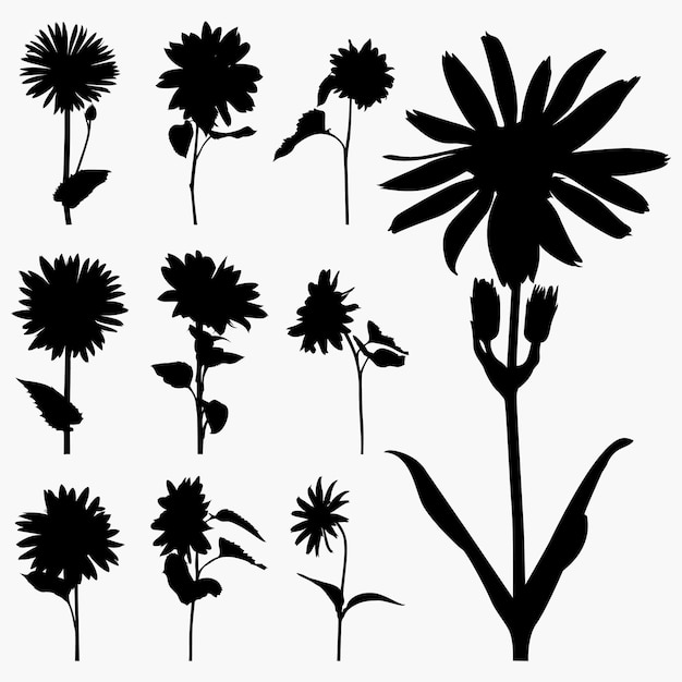 Vector set of sunflower silhouettes