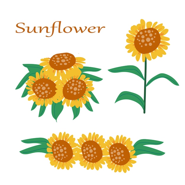 A set of sunflowers and hand drawn design elements