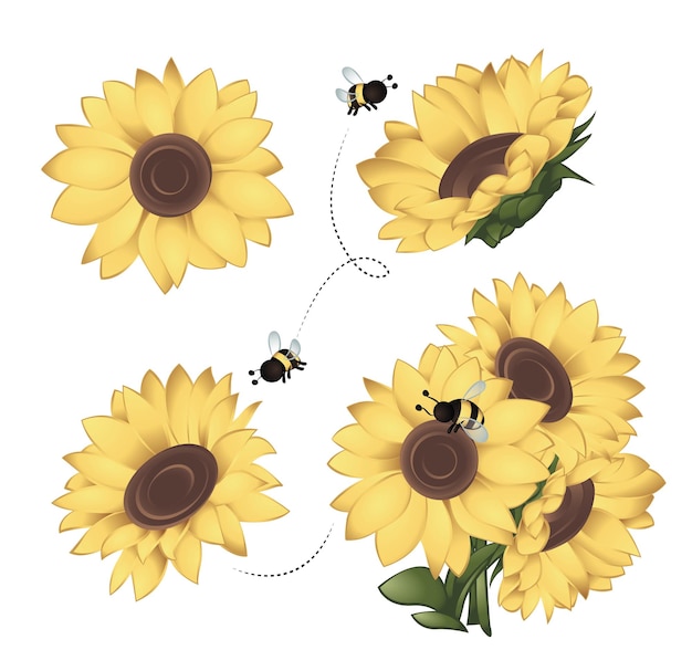 Vector set of sunflowers with bees around