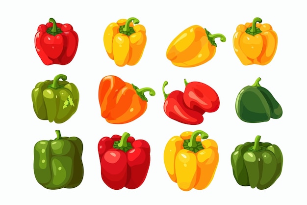 Set of sweet bell peppers Fresh whole vegetables of different color Isolated on white background Vector cartoon illustration