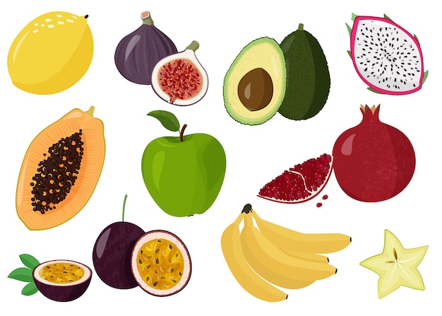 Vector set of sweet fruits