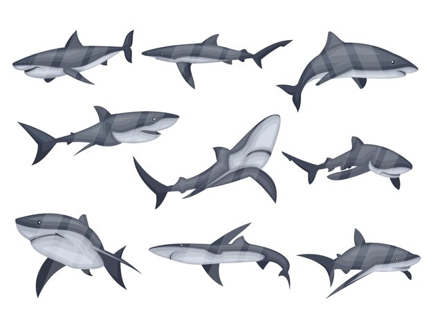 Set of swimming shark icons Underwater world Vector graphics