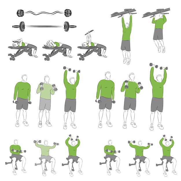 Vector set of systematic bodybuilding exercises for basic equipment