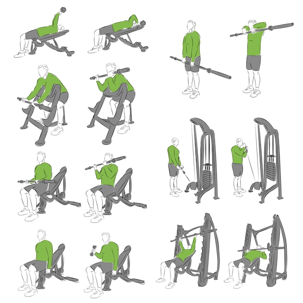 Vector set of systematic bodybuilding exercises for basic equipment