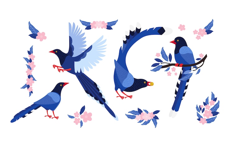 Vector set of taiwan azure magpie and pink flowers
