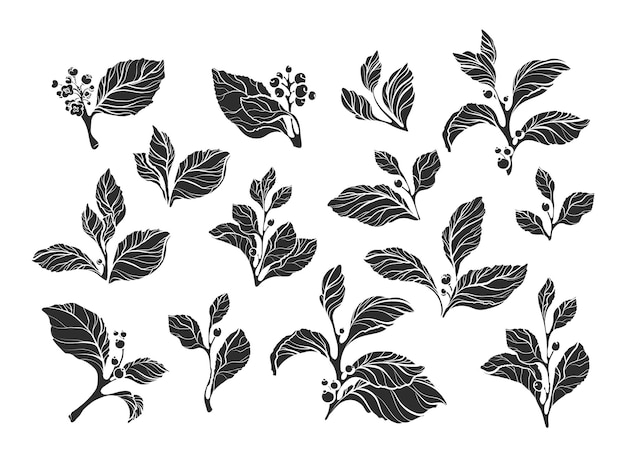 Set tak natuurvorm van partner met bladbloem en bes kunst zwart silhouet botanische print