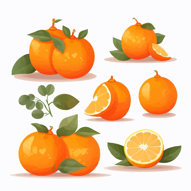 A set of tangerinethemed vector graphics ideal for fruitrelated designs