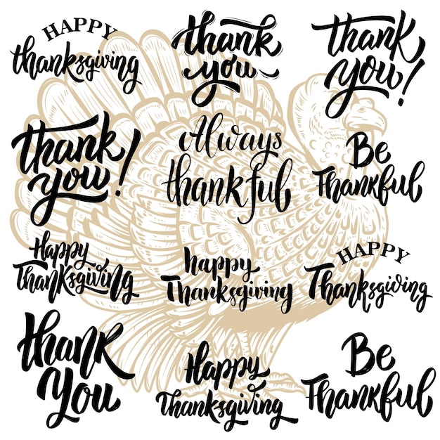 Vector set of thanksgiving lettering phrases. turkey illustration.  elements for poster, greeting card, , poster.  illustration