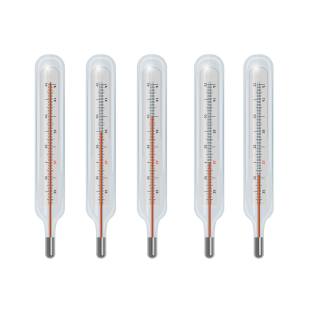 Set of thermometers in the vectorThermometer for measuring body temperature in vector format