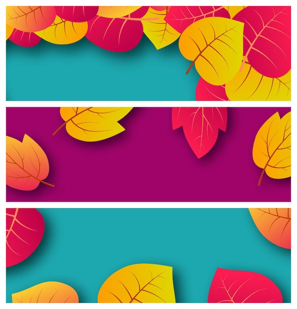 Set of three backgrounds with autumn leaves and place for your text.  banner design for fall season banner or poster. vector illustration