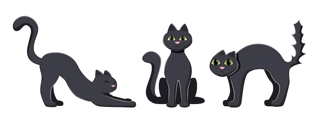 Set three black cats