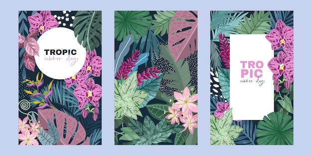 Vector set of three cards with tropical leaves