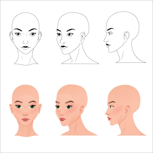 세 가지 다른 각도의 세트 다른 시각 전면 프로파일 소녀 얼굴의 4분의 3