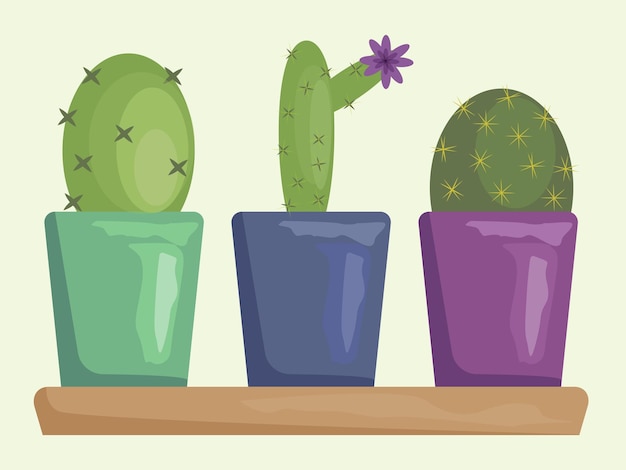 a set of three different cacti in colorful pots on a shelf