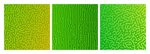 Set of three green turing reaction gradient backgrounds Abstract diffusion pattern with chaotic shapes Vector illustration