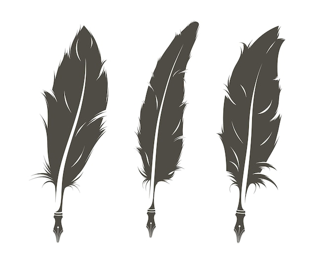 Set of three isolated feathers for writing