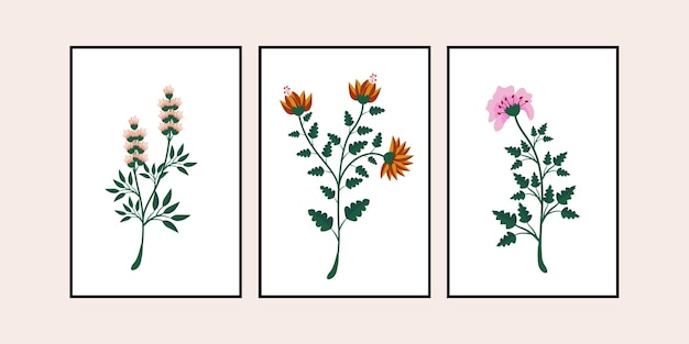 Set of three minimal flowers wall art. plant and flower wall decoration, wall print and poster.