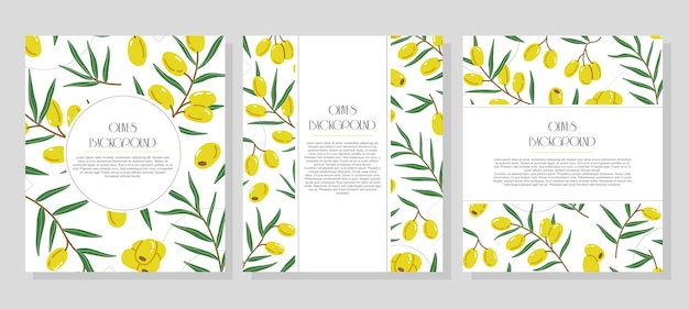 Set of three readymade minimalistic trendy vertical banners with olives and place for text