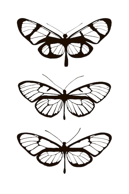 Set of three silhouettes butterflies. The evolution of mimicry. Isolated objects on white background