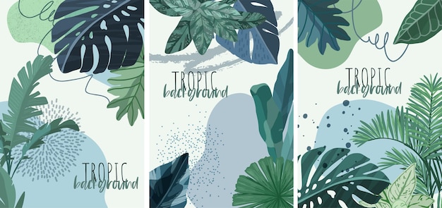 Vector set of three tropical backgrounds with leaves